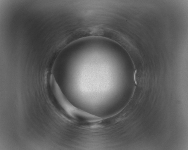 X0000083550748200702091058