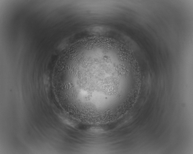 X0000083550749200702091058