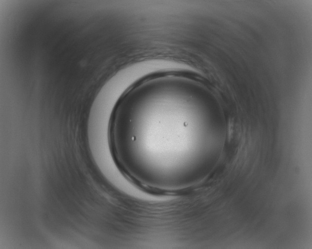 X0000083550750200702091058