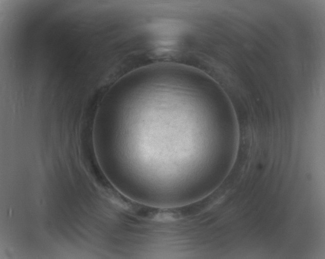 X0000083550751200702091058