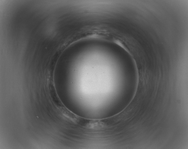 X0000083550752200702091058