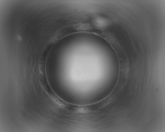 X0000083550755200702091058