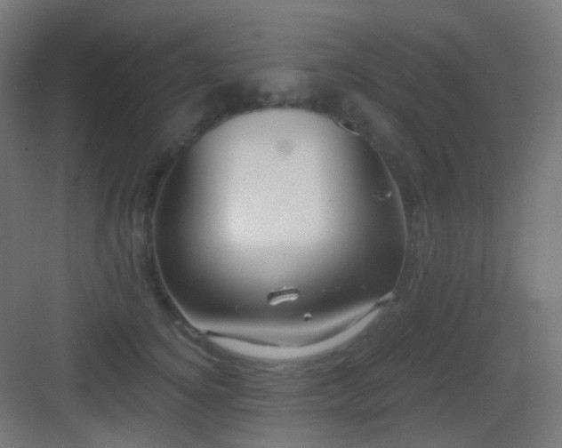 X0000083550756200702091058