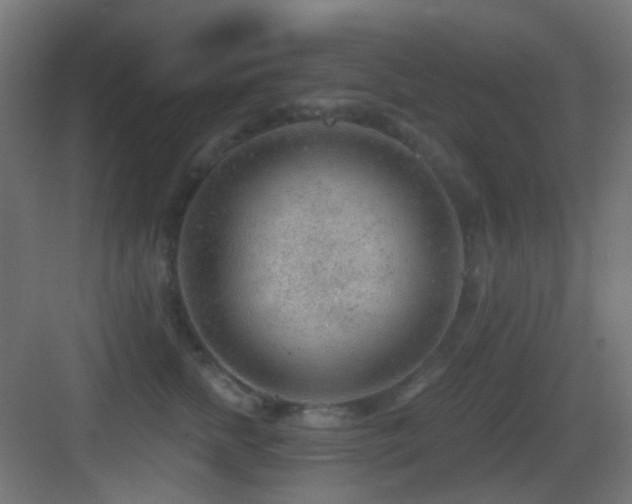 X0000083550758200702091058