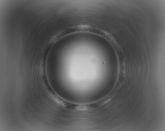 X0000083550762200702091058