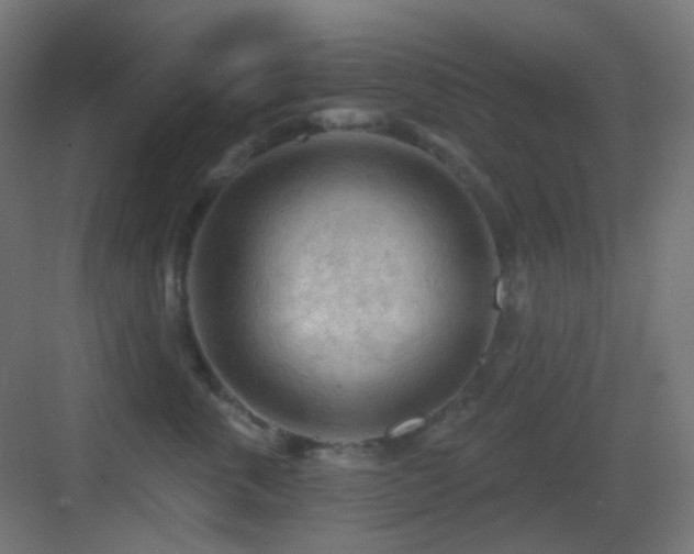 X0000083550763200702091058