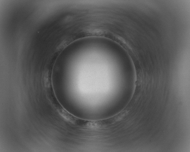 X0000083550764200702091058