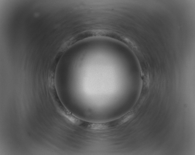X0000083550766200702091058