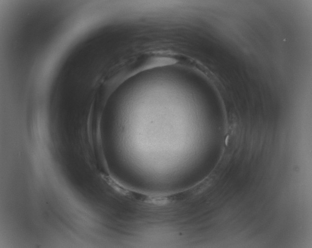 X0000083550767200702091058
