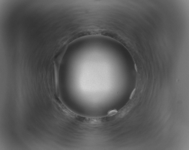 X0000083550768200702091058