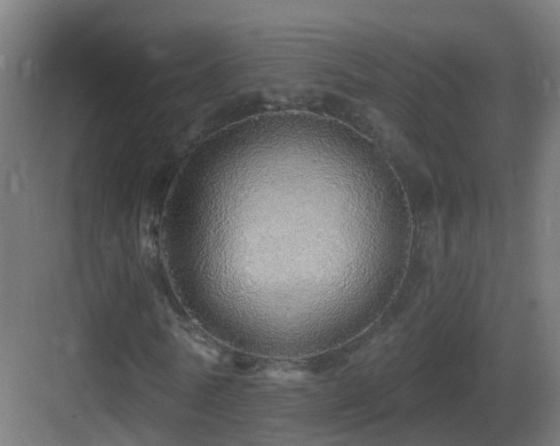 X0000083550770200702091057