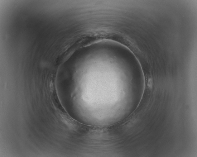 X0000083550771200702091057
