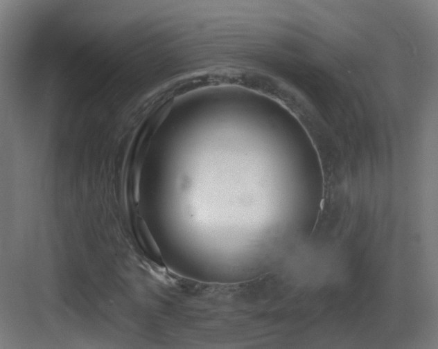 X0000083550773200702091057