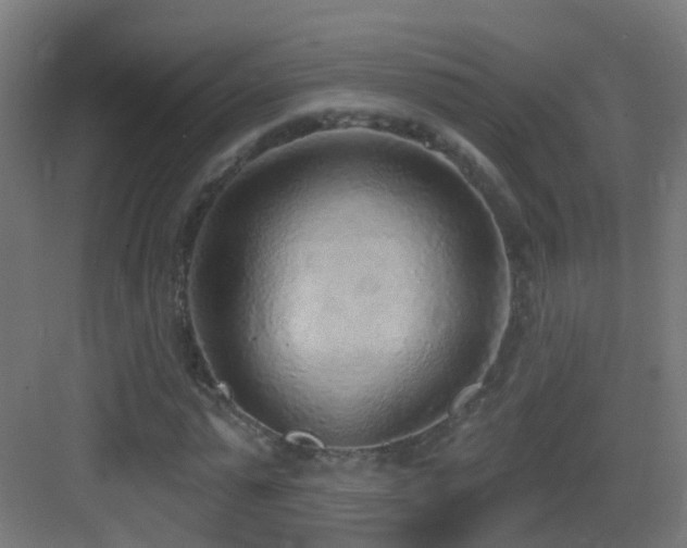 X0000083550775200702091057