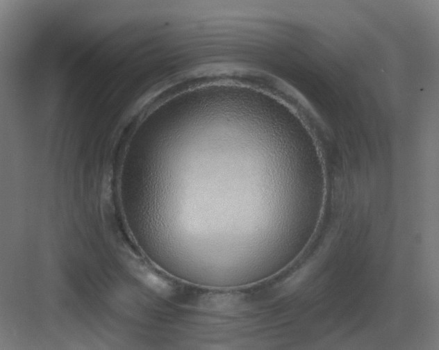 X0000083550778200702091057