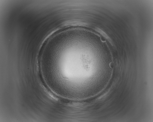 X0000083550782200702091057