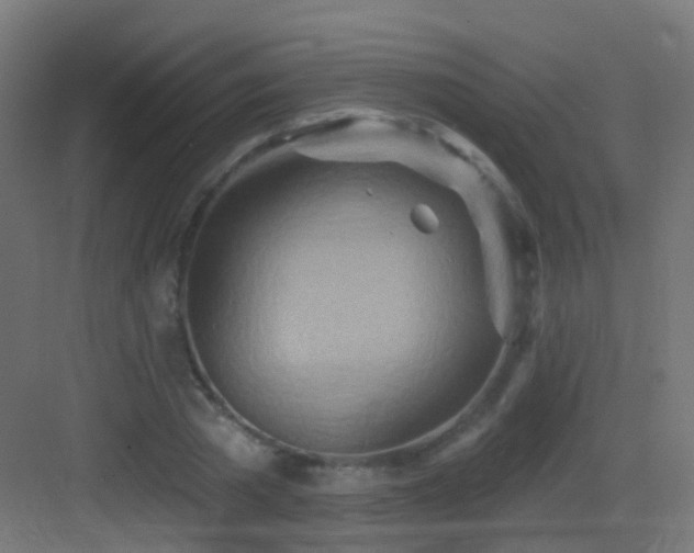 X0000083550785200702091057