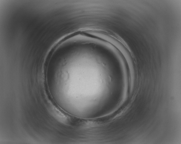 X0000083550787200702091057