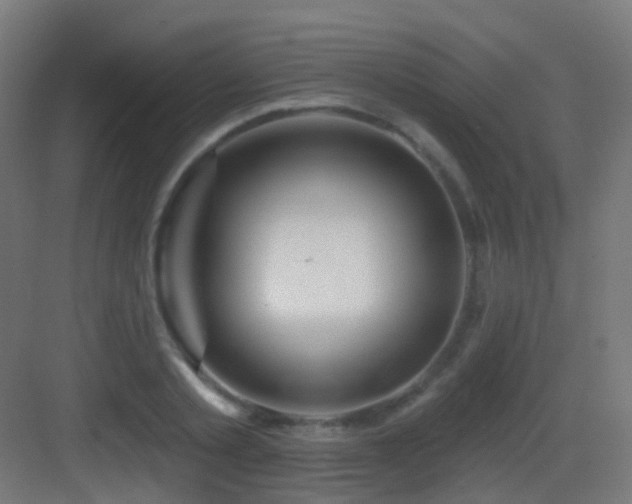 X0000083550789200702091057
