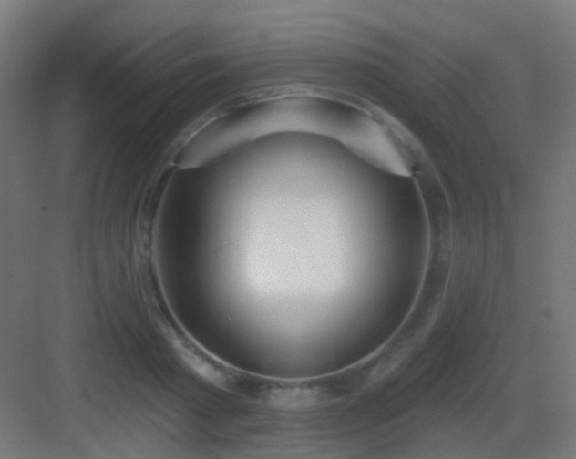 X0000083550793200702091057