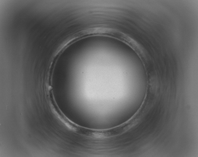 X0000083550794200702091057