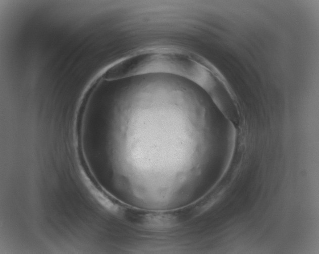 X0000083550795200702091057