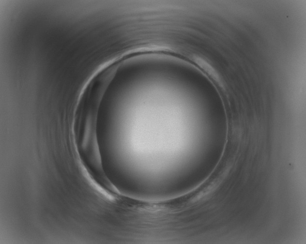 X0000083550797200702091057