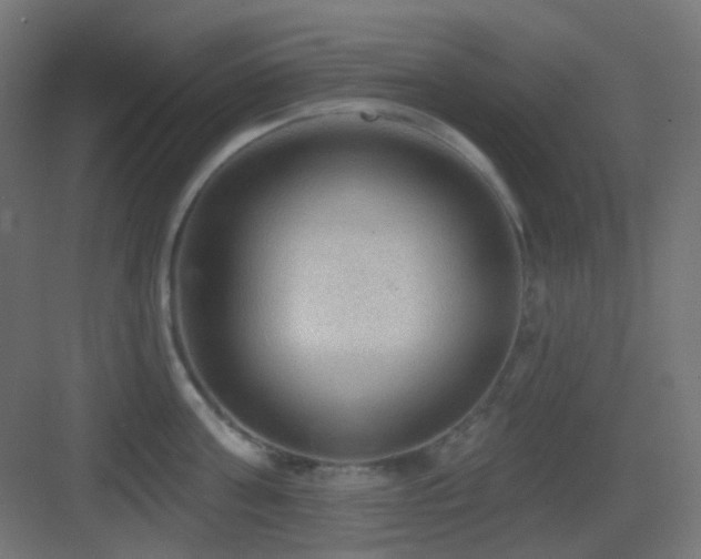 X0000083550811200702091057