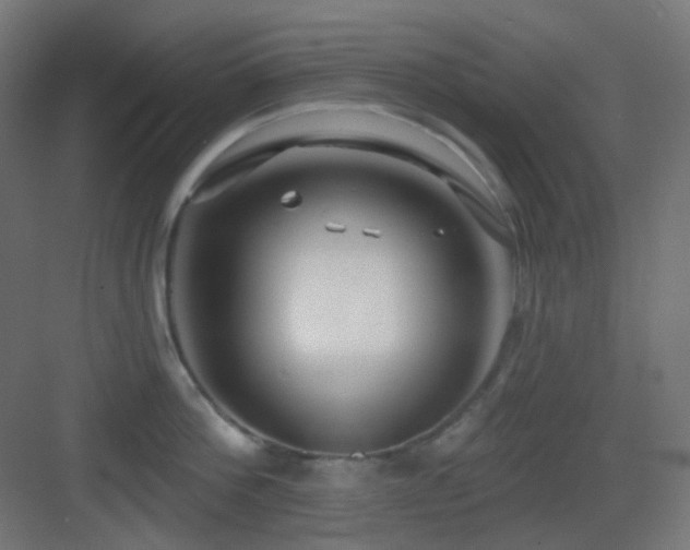X0000083550812200702091057