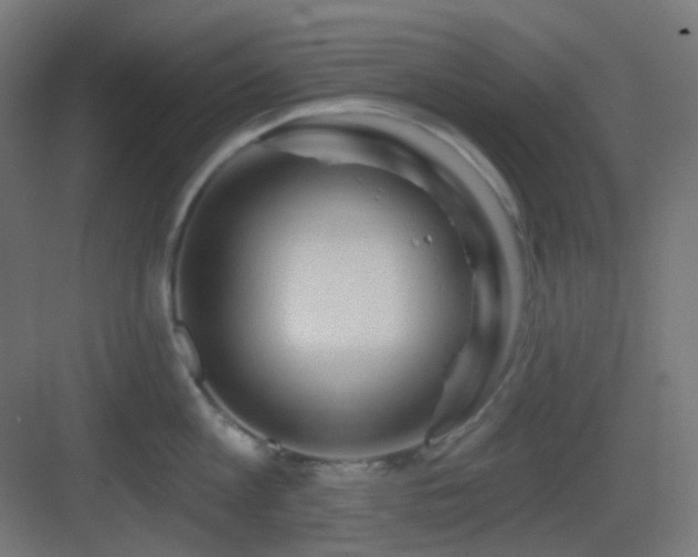 X0000083550813200702091057
