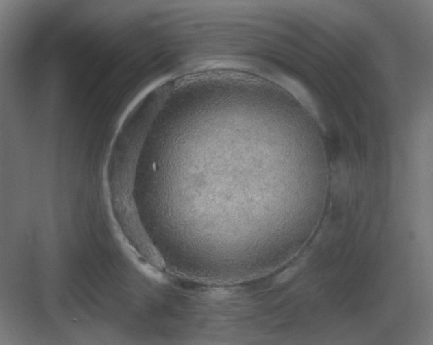 X0000083550814200702091057