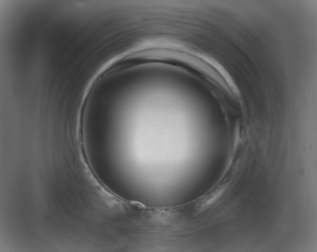 X0000083550815200702091057