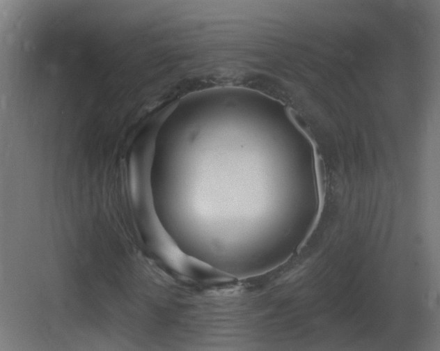 X0000083550818200702091056