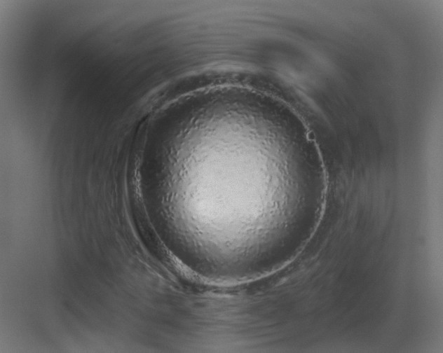 X0000083550821200702091056