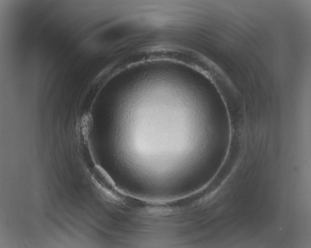 X0000083550825200702091056