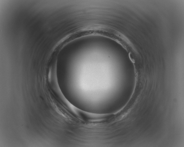 X0000083550826200702091056