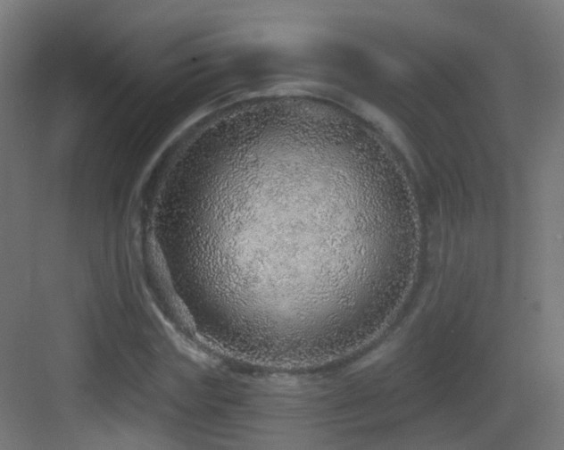 X0000083550827200702091056