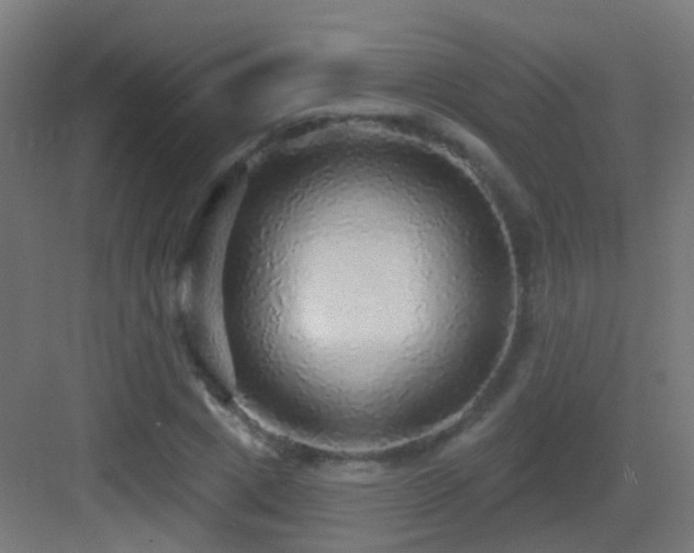 X0000083550833200702091056