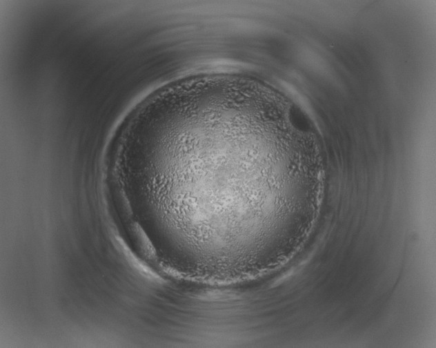 X0000083550835200702091056