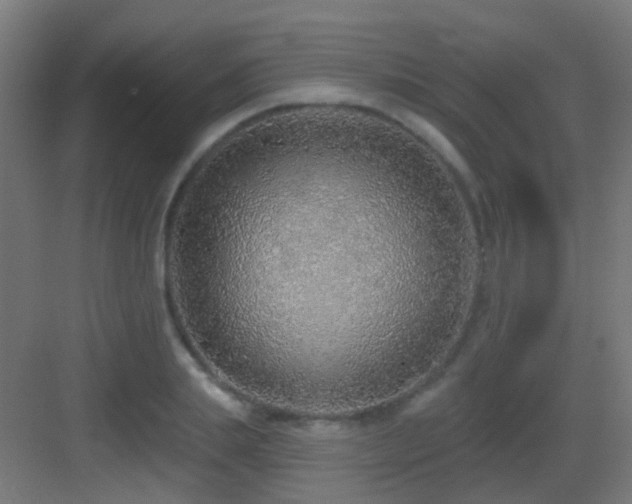 X0000083550839200702091056