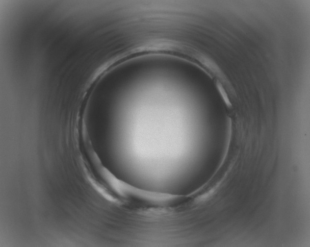 X0000083550842200702091056
