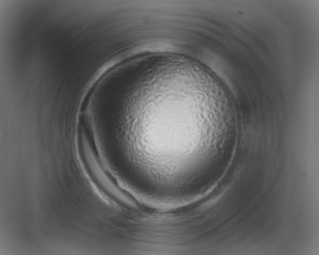 X0000083550845200702091056