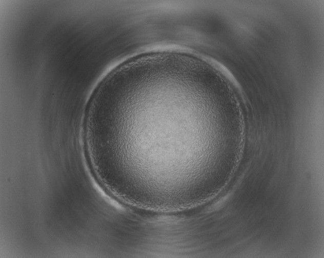 X0000083550847200702091056