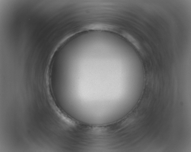 X0000083550848200702091056