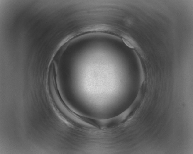X0000083550850200702091056