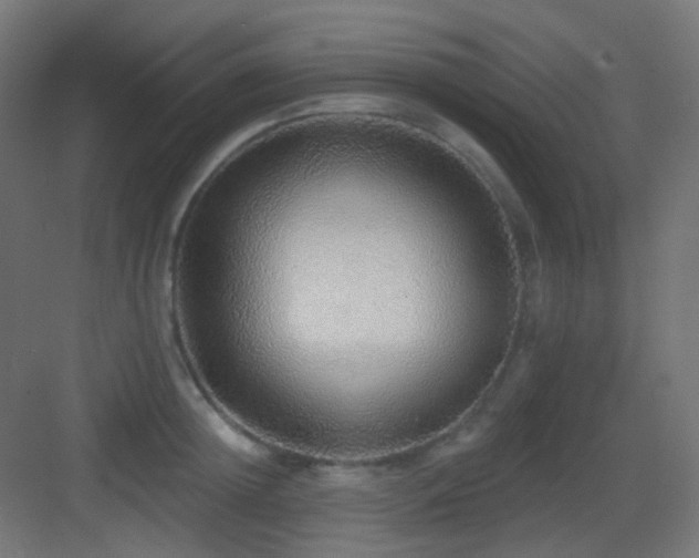 X0000083550852200702091056