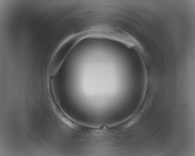 X0000083550854200702091056