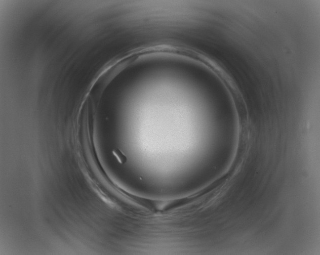X0000083550858200702091057