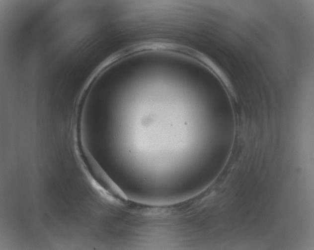 X0000083550861200702091057