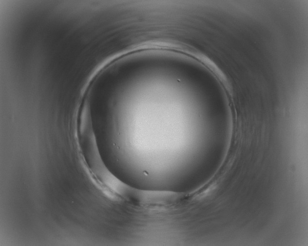 X0000083550862200702091057